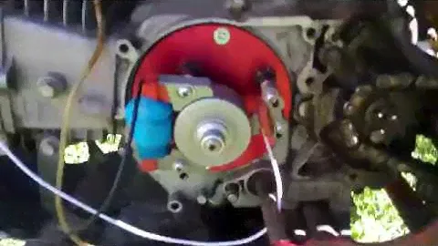 Тест ротор кит.