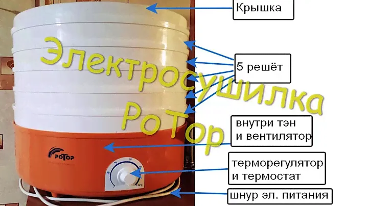 Электросушилка Ротор. Технические характеристики, характерные неисправности бытовой сушилки СШ-002.