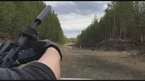 На Карабин Тигр, (СВД), TG-3 и аналогичные карабины.