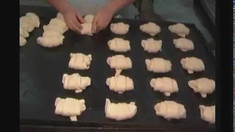 Ротационные печи "Муссон ротор" модели 99,77.