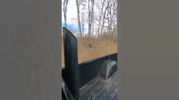 13 speed 12v cummins shifting