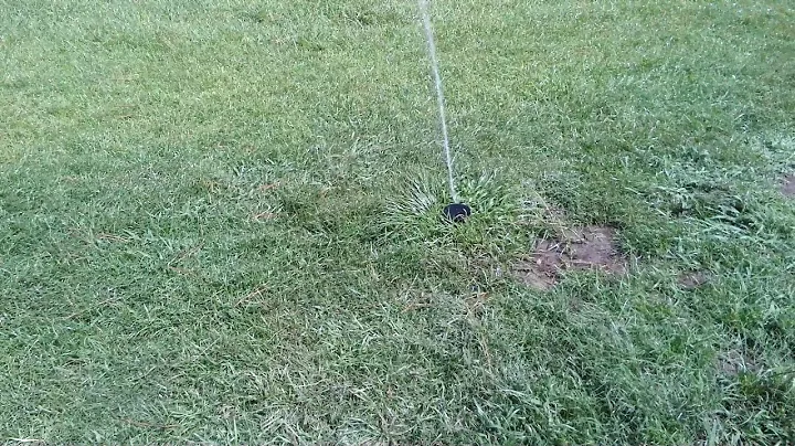 Rainbird maxi paw sprinkler