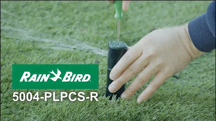 The Rain Bird 5004-PLPCS-R Rotor