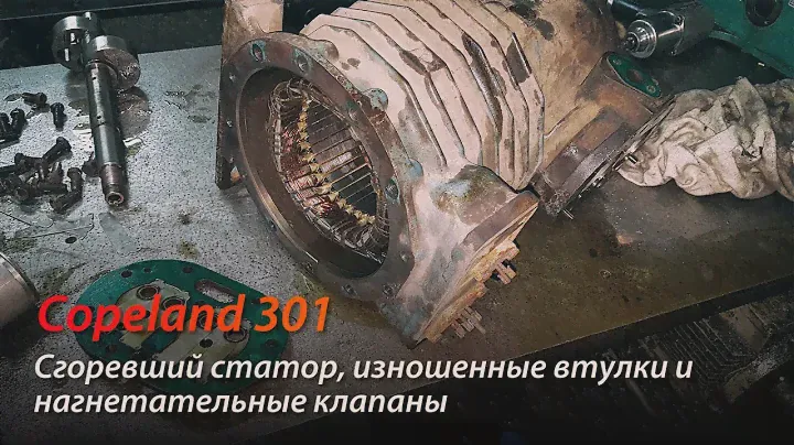 Copeland 301 - Сгоревший статор, изношенные втулки и нагнетательные клапаны