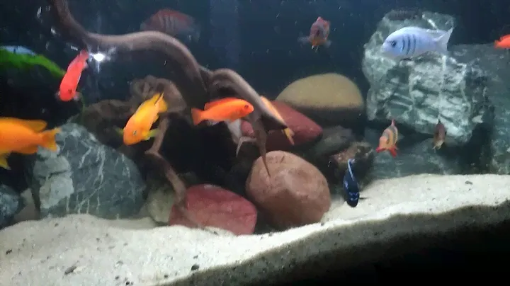 Внешний фильтр Fluval FX4 в работе