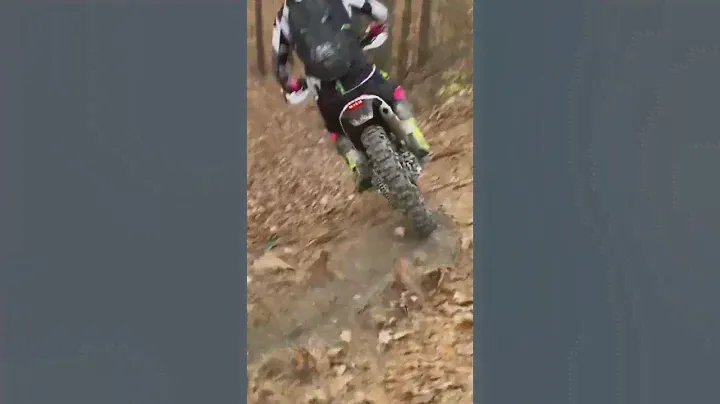 BETA XTRAINER 300 SOUND!