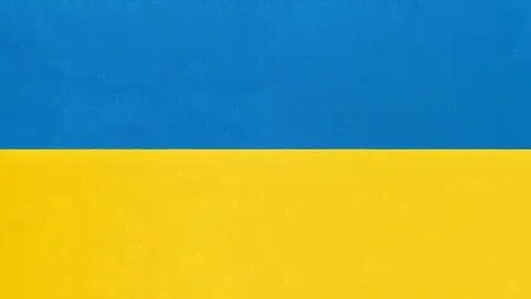 Ремонт Полировальная шлифмашина MAKITA 9227CB