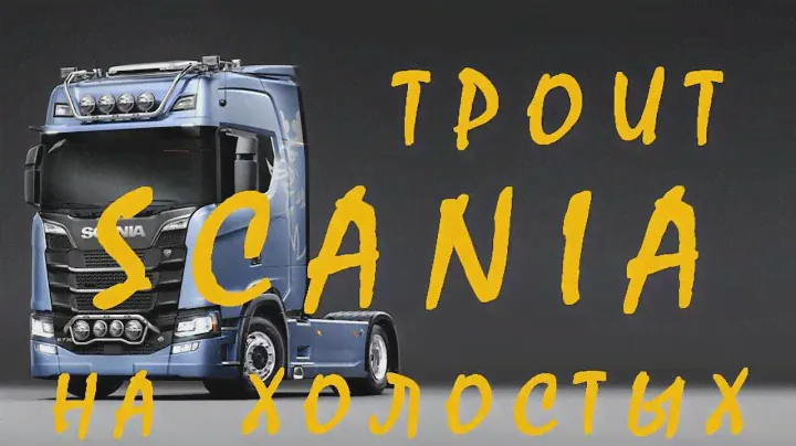 СКАНИЯ троит на холостых, без нагрузки. При включении компрессора, работа двигателя выравнивается.
