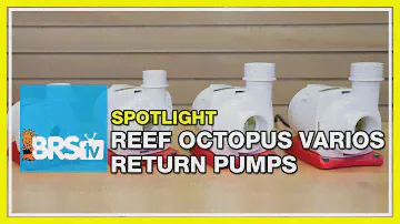 The Reef Octopus VarioS DC powered pump | BRStv Spotlight