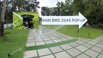 Rain Bird 2045A Maxi-Paw Pop-Up Impact Rotor Sprinklers for Garden