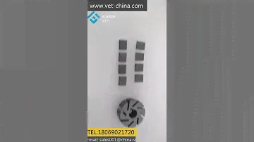 graphite rotor and vane
