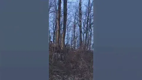 Стелс казума 500