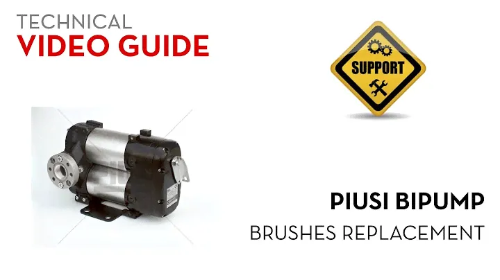 Piusi Bipump - Brushes Replacement
